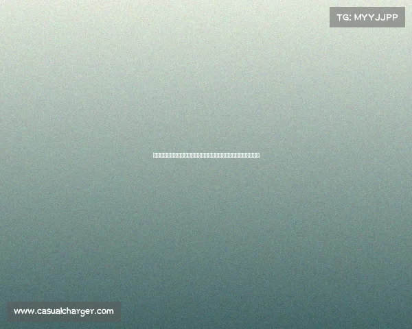 复旦电子竞技社—复旦电竞社十五年坚守，铸就沪上高校绿色电竞标杆